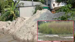 রাতের আঁধারে অবৈধ ভরাট বাণিজ্য যুবদল নেতার, ড্রেজার উচ্ছেদের পর পুনরায় চালু
