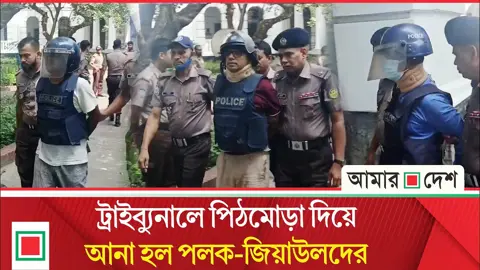আয়নাঘর ও মুগ্ধ হত্যার আসামিদের হাতকড়া পরিয়ে ট্রাইব্যুনালে হাজির
