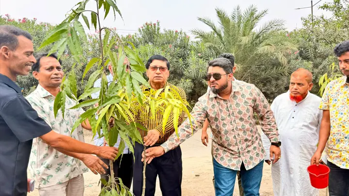 ডেমরা রোডে বৃক্ষ রোপণ করলেন বিএনপি নেতা নবীউল্লাহ নবী
