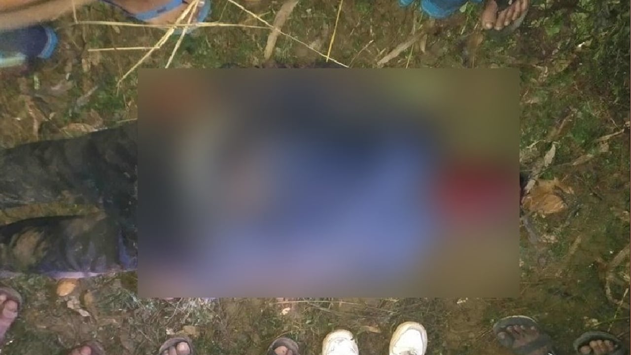 পৃথক সড়ক দুর্ঘটনায় নালিতাবাড়ীতে দুইজনের মৃত্যু