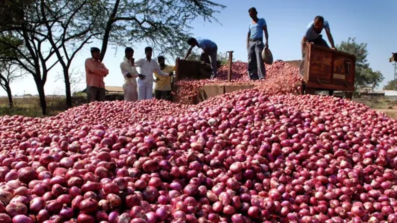 পেঁয়াজ আমদানিতে শিথিলতা: দৈনিক ২০০ আইপি অনুমোদন