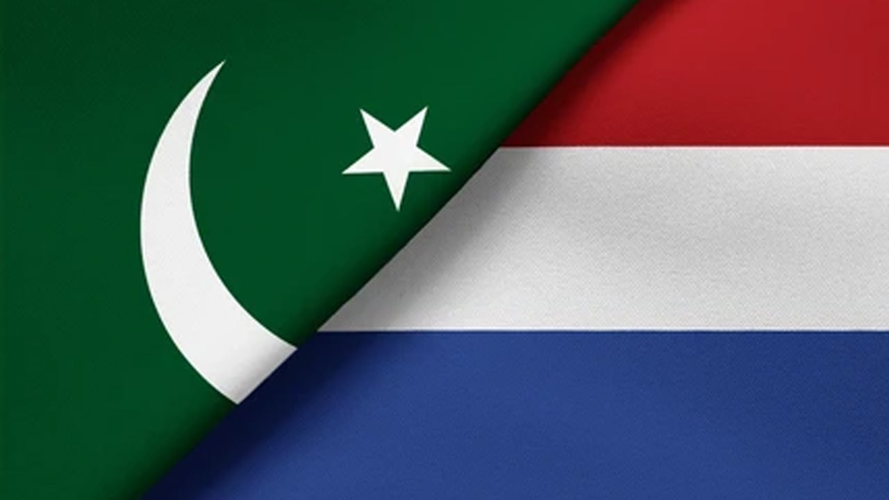 লেবাননে যুদ্ধবিরতি লঙ্ঘন: উদ্বেগে পাকিস্তান, সমর্থনে নেদারল্যান্ডস