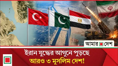 ইরান যুদ্ধের চাপে পাকিস্তান-তুরস্ক-মিসর
