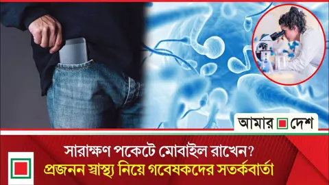 প্যান্টের পকেটে মোবাইল রাখলে পুরুষের শুক্রাণুর ক্ষতি হয়? কী বলছে গবেষণা
