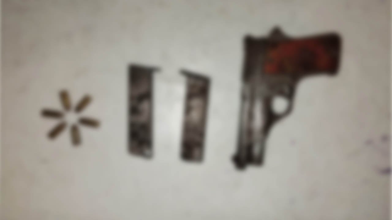 দিনাজপুরে বিদেশি পিস্তল ও গুলি উদ্ধার