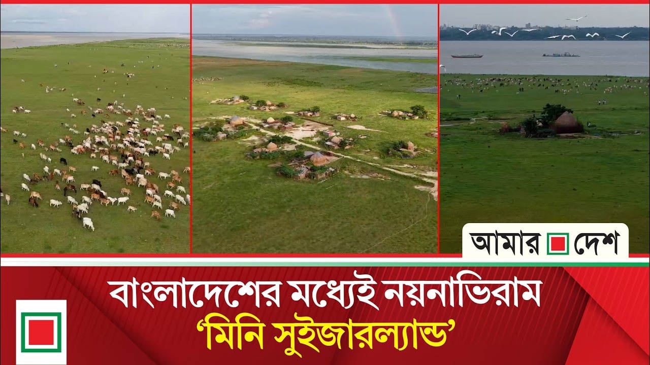 পদ্মার বুকে এক খণ্ড চোখ জুড়ানো ভূমি, তবে সৌন্দর্যের আড়ালে দুর্বিষহ জনজীবন
