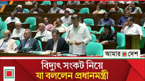 যেভাবে বিদ্যুৎ সংকট কাটাতে চান প্রধানমন্ত্রী
