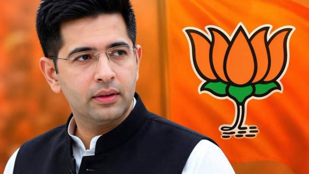 বিজেপিতে যোগ দিয়েই ১০ লাখ ফলোয়ার হারালেন রাঘব চাড্ডা