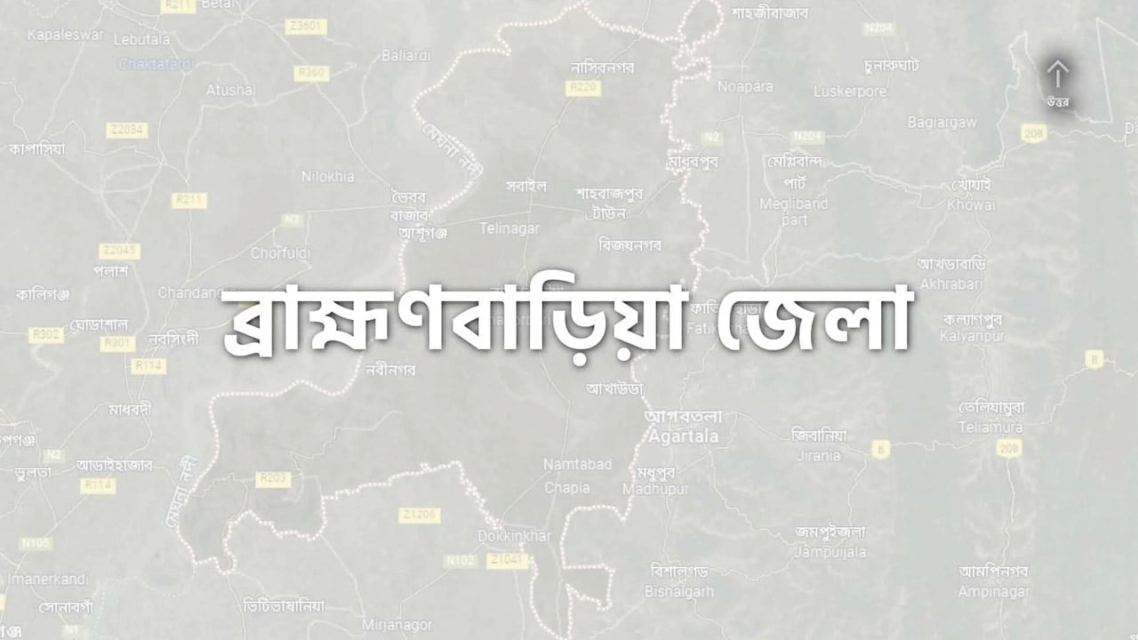 ব্রাহ্মণবাড়িয়ার ৬টি আসনে বিএনপির একাধিক বিদ্রোহী প্রার্থী