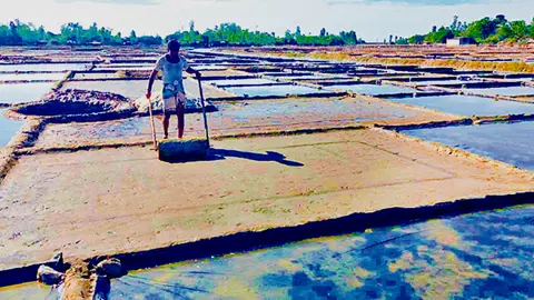 উৎপাদন বাড়াতে মাঠে নামার অপেক্ষায় ৮ হাজার লবণচাষি