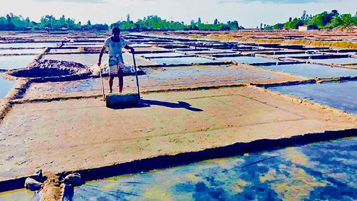 উৎপাদন বাড়াতে মাঠে নামার অপেক্ষায় ৮ হাজার লবণচাষি