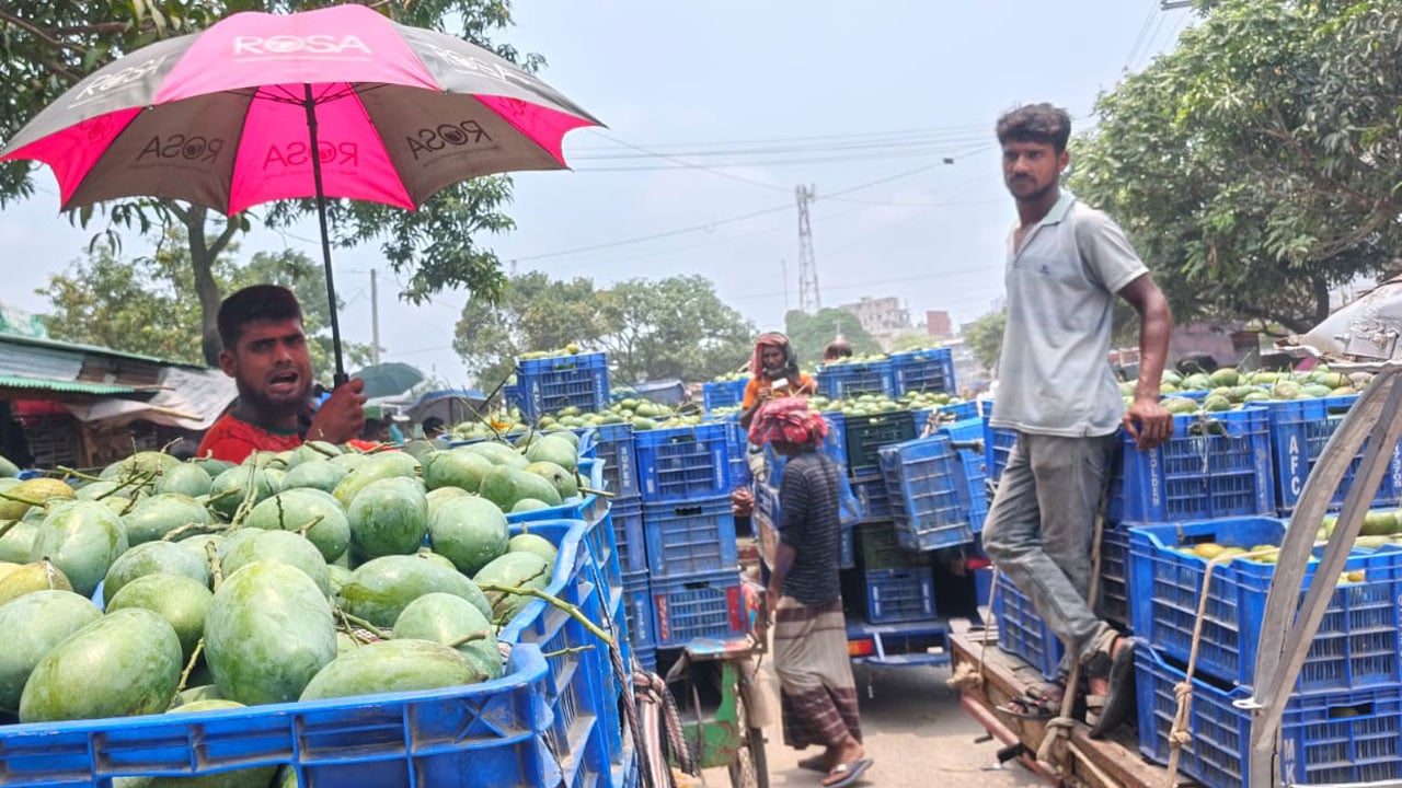 সাপাহারে আম উৎসব চললেও চাষিদের মুখে হতাশা