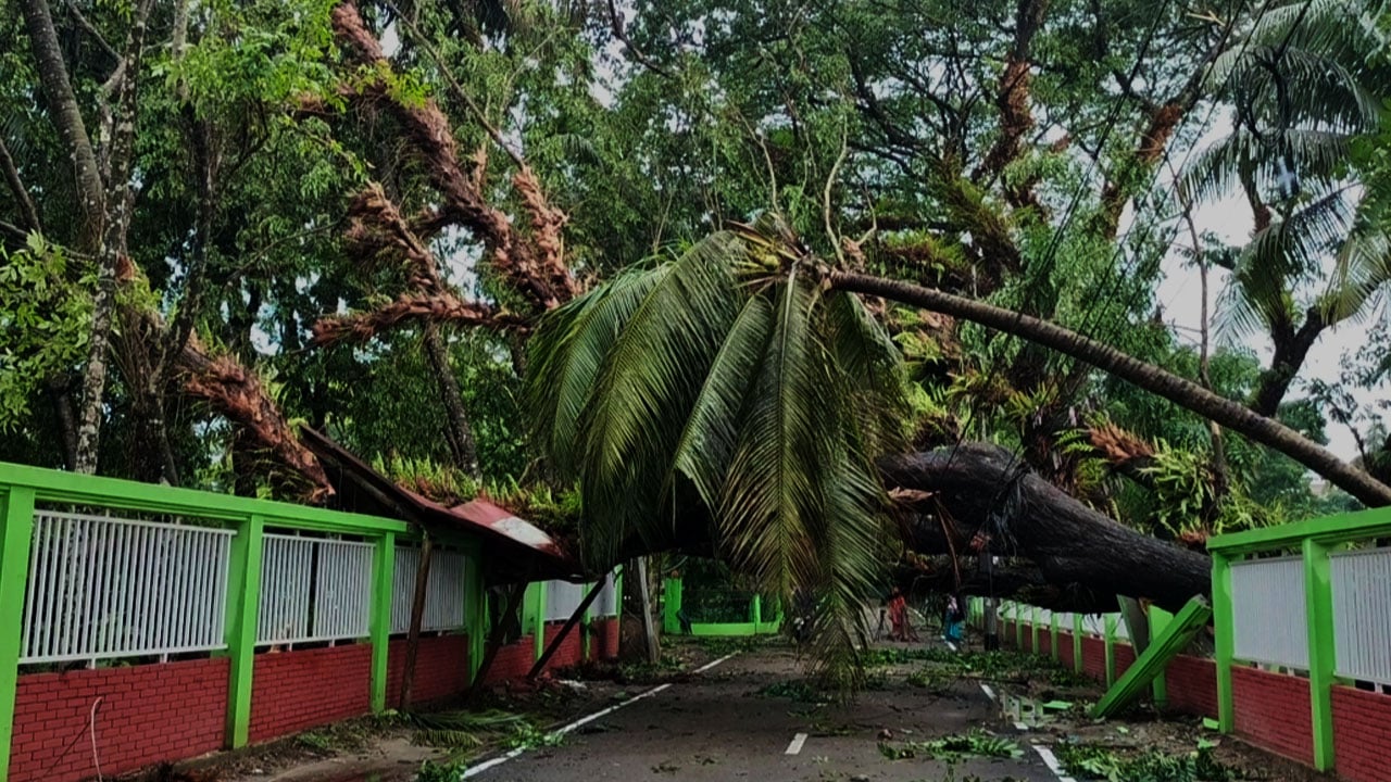 ভোলায় কালবৈশাখীর তাণ্ডবে সড়ক ও বিদ্যুৎ বিচ্ছিন্ন, দুর্ভোগে হাজারো মানুষ
