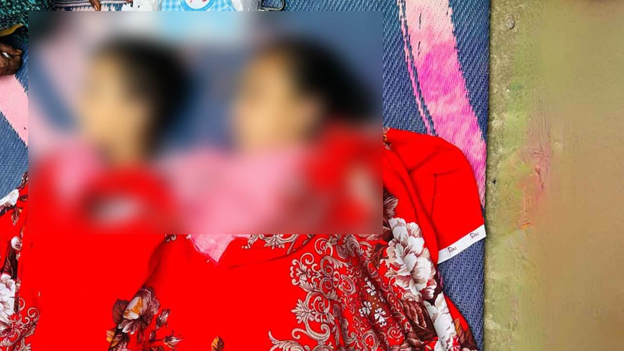 ছোট ভাইকে বাঁচাতে বড় বোনের পুকুরে ঝাঁপ, প্রাণ গেল দু’জনেরই
