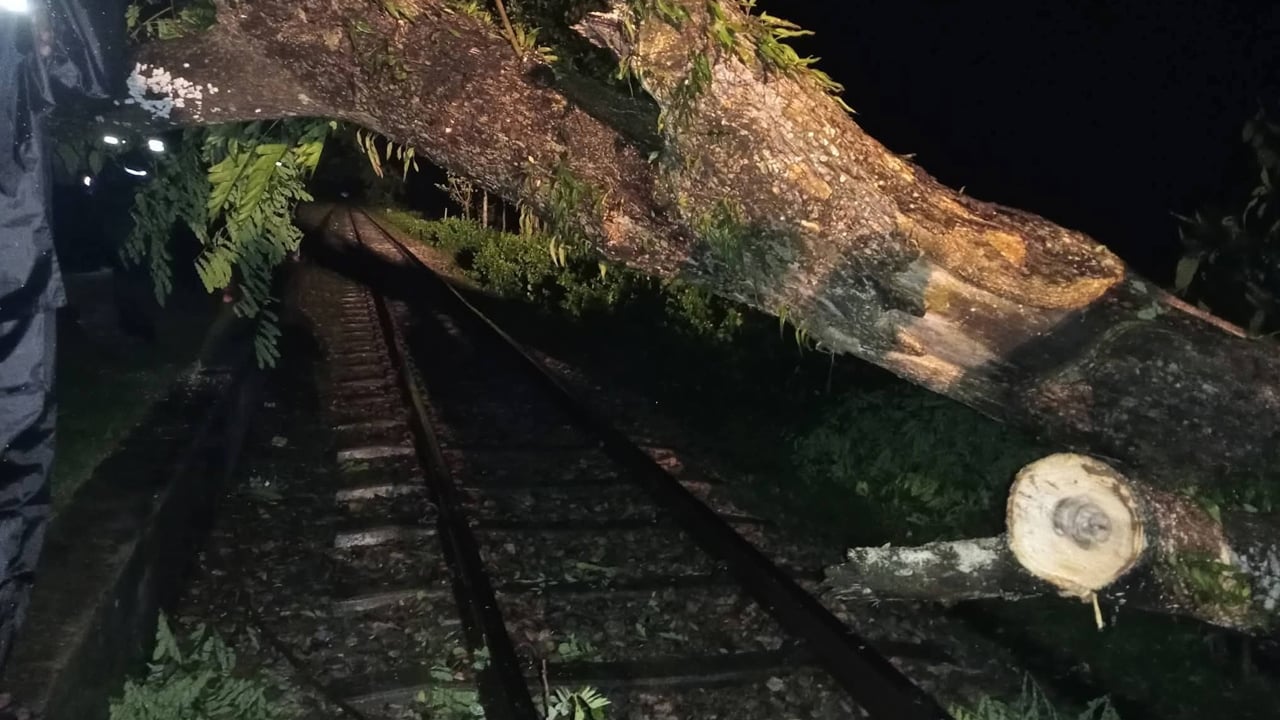 কালবৈশাখী ঝড়ে গাছ পড়ে ময়মনসিংহে ট্রেন চলাচল বন্ধ