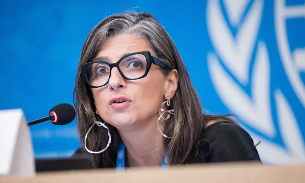 ফিলিস্তিনিদের ওপর নির্যাতনে ‘লাইসেন্স’ পেয়েছে ইসরাইল: জাতিসংঘ প্রতিনিধি