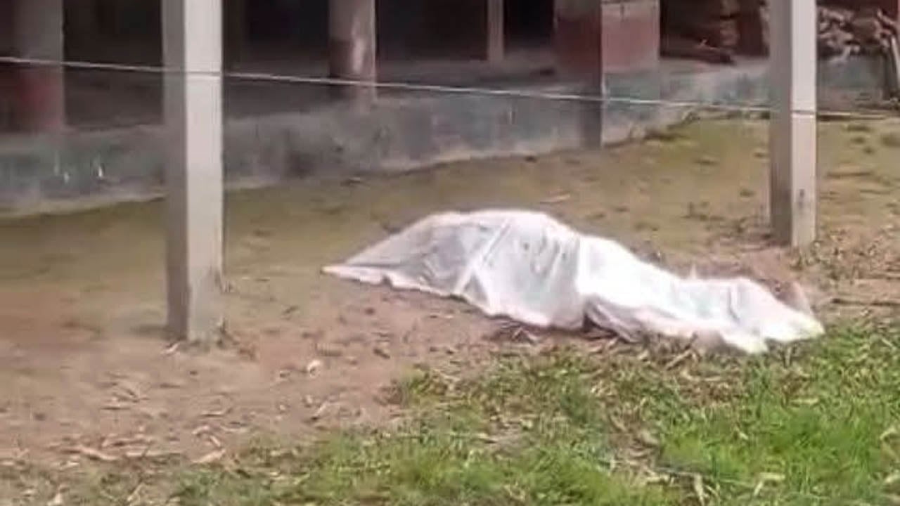 নীলফামারীতে মন্দিরের উঠানে কৃষকের গলাকাটা লাশ