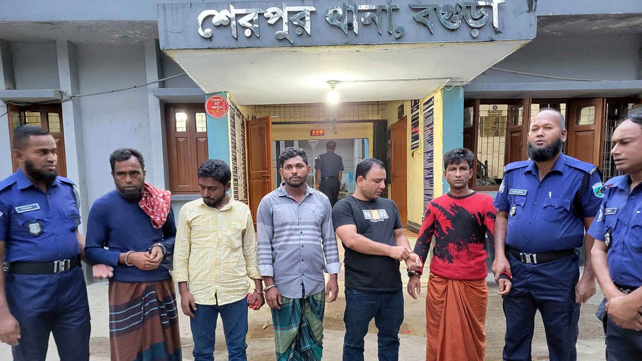 শেরপুরে সিঁধ কেটে গরু চুরি, আন্তঃজেলা চোরচক্রের ৫ সদস্য গ্রেপ্তার