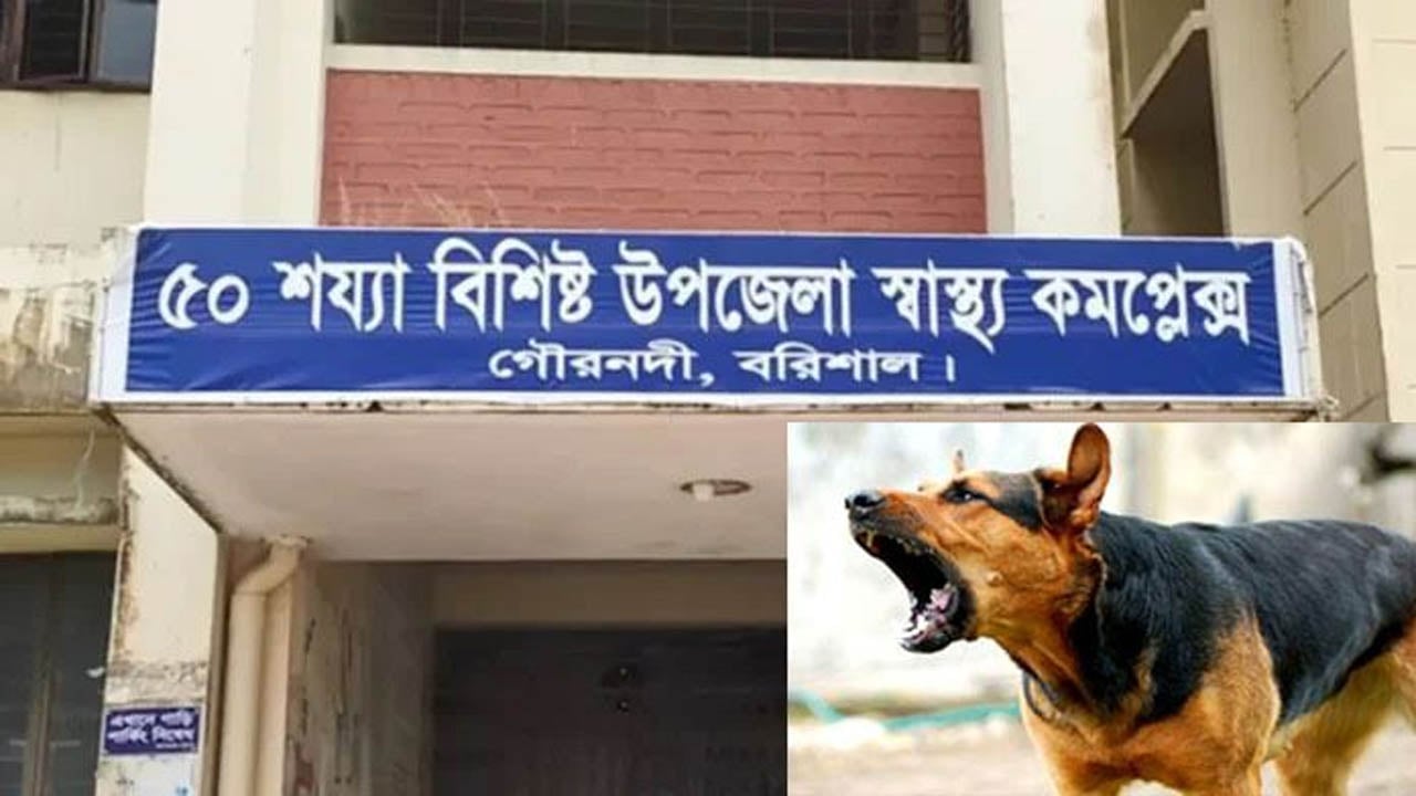গৌরনদীতে পাগলা কুকুরের কামড়ে আহত ১৪