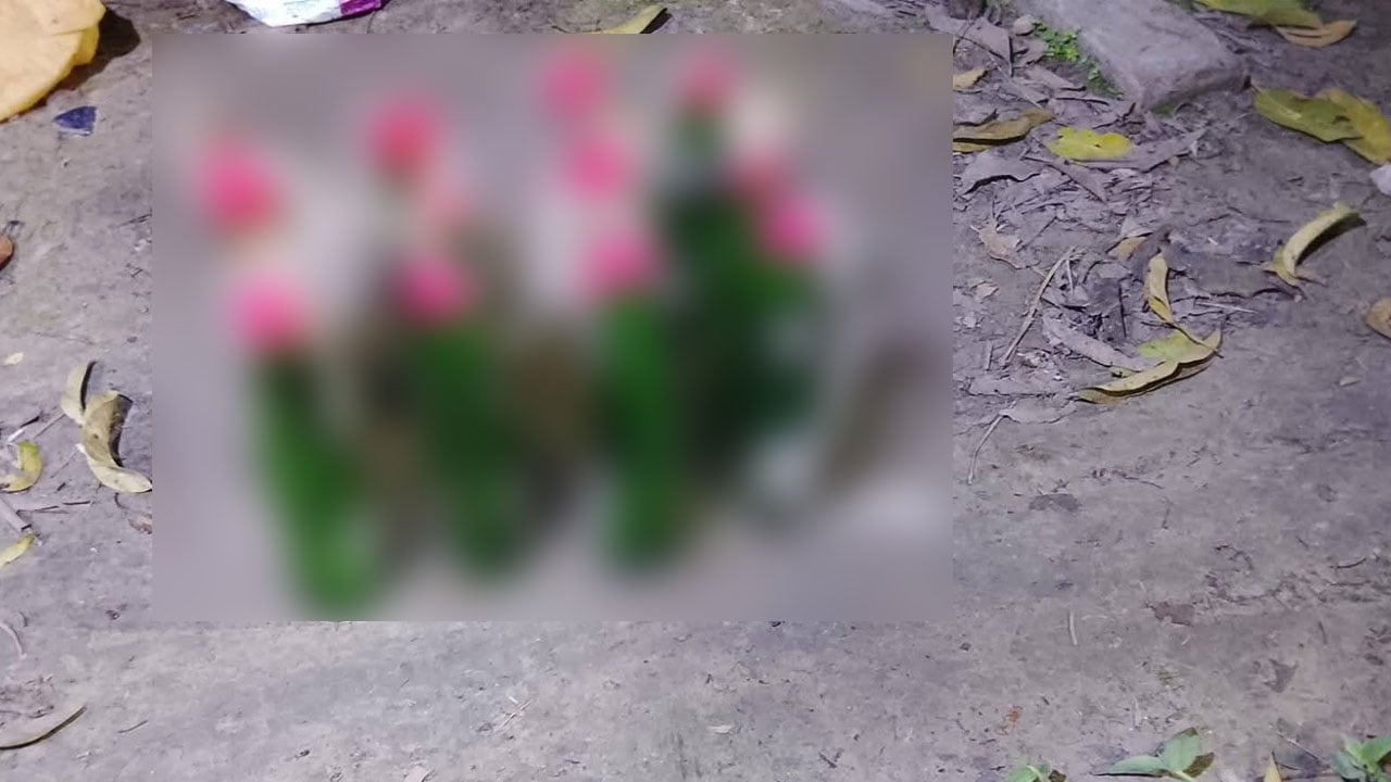 রাজশাহীতে ১২ পেট্রোল বোমা ও ১৫ তাজা ককটেল উদ্ধার