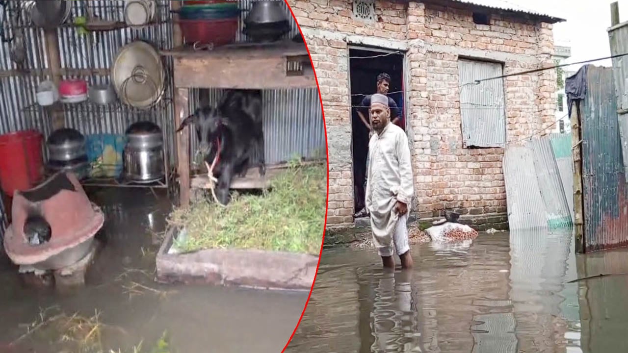 বৃষ্টিতে বিপর্যস্ত রংপুর, হাঁটু পানিতে তলিয়ে সড়ক ও বসতবাড়ি