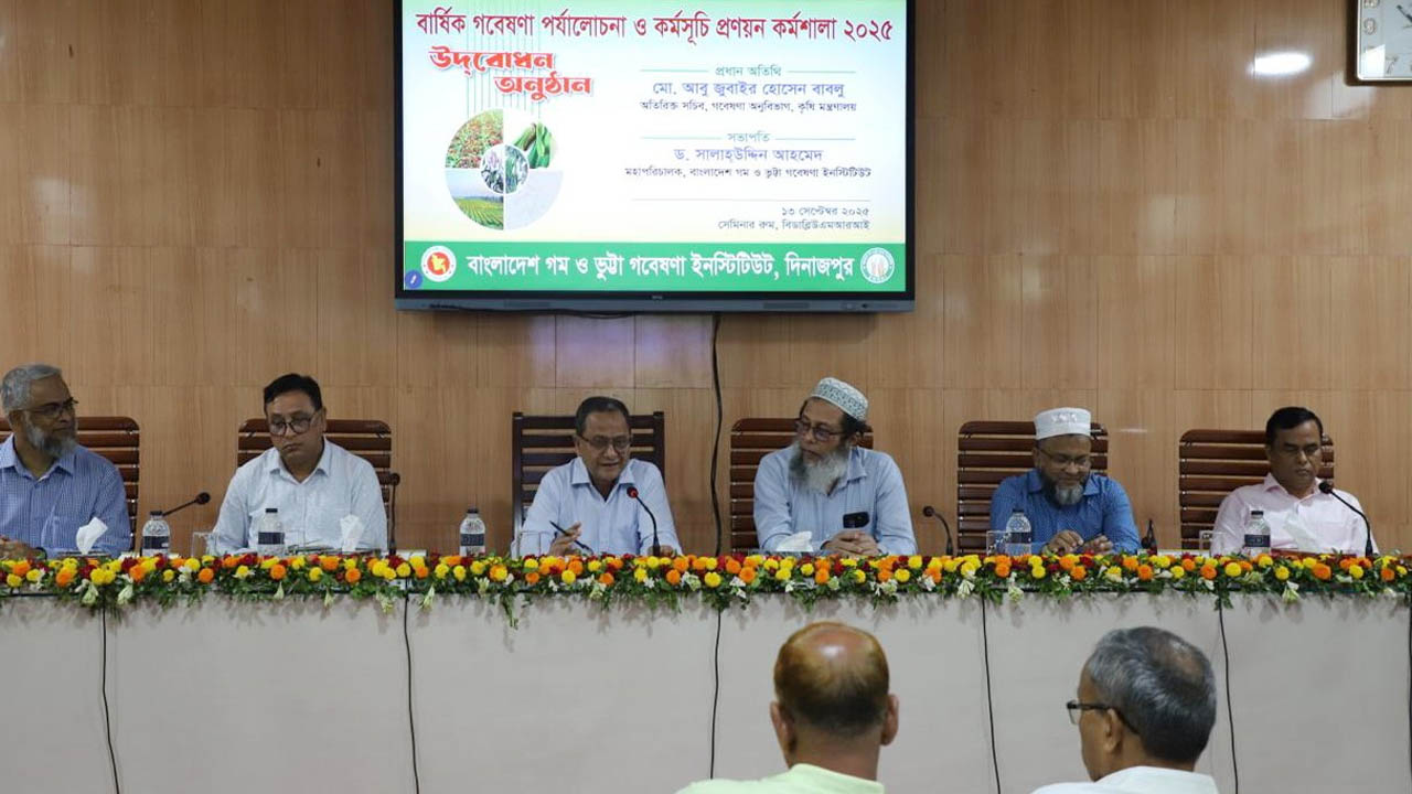 গম ও ভুট্টার বার্ষিক গবেষণা পর্যালোচনা কর্মশালা অনুষ্ঠিত