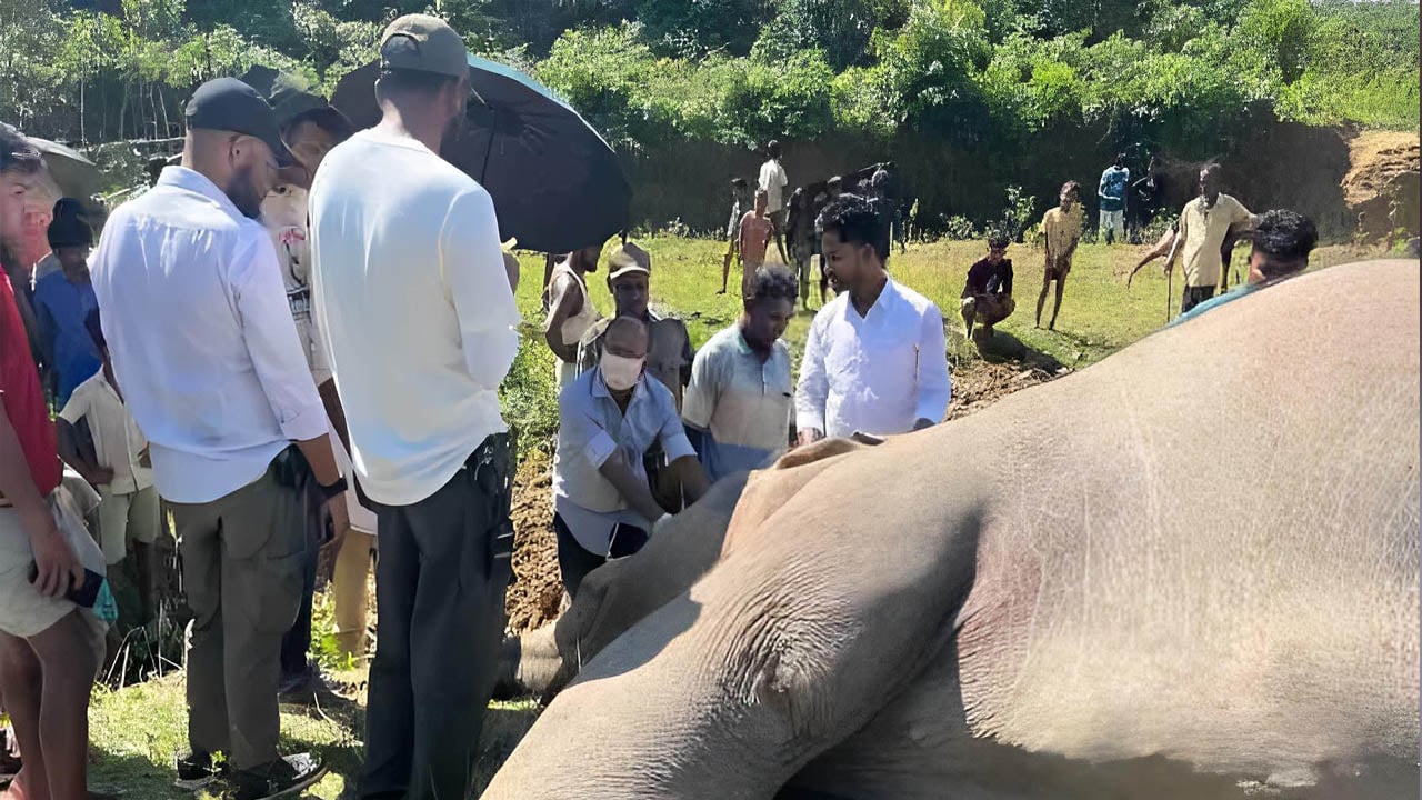 বনে পড়েছিল বন্যহাতির ‘রক্তাক্ত’ মরদেহ