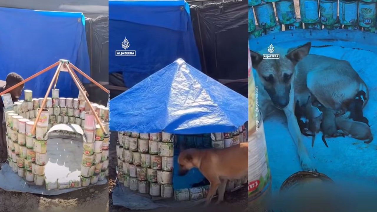 গাজায় যুদ্ধের ধ্বংসস্তূপে টিনের কৌটায় প্রাণ পেল মানবিকতার গল্প