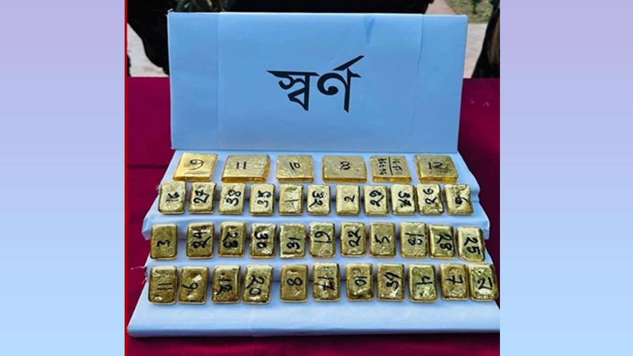 দর্শনা সীমান্তে ১৩ কোটি টাকার স্বর্ণসহ পাচারকারী আটক