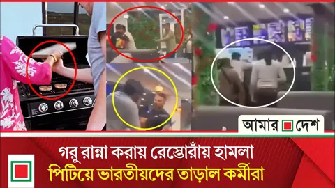 গরু রান্না করায় রেস্তোরাঁয় ভারতীয়দের হামলা নিয়ে ইয়ানি সাফাকের ভিডিও প্রকাশ
