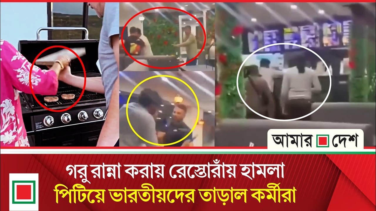 গরু রান্না করায় রেস্তোরাঁয় ভারতীয়দের হামলা নিয়ে ইয়ানি সাফাকের ভিডিও প্রকাশ