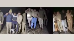 ভারতে গরু পাচারের অভিযোগে পুলিশের গুলির শিকার শত শত, অধিকাংশই মুসলিম