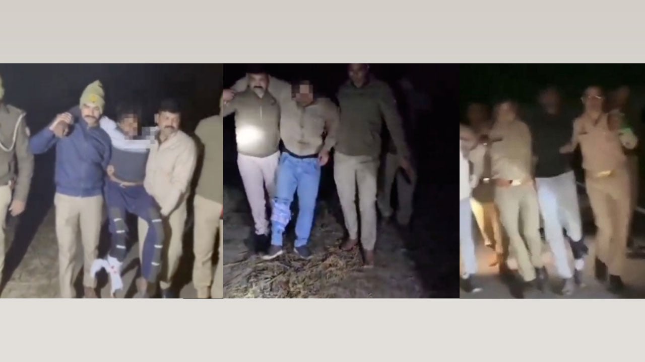 ভারতে গরু পাচারের অভিযোগে পুলিশের গুলির শিকার শত শত, অধিকাংশই মুসলিম
