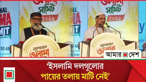 সব ইসলামি দল এক হয়েও ক্ষমতায় যেতে পারবে না, এত আস্ফালন কিসের: ড. খালিদ হোসেন