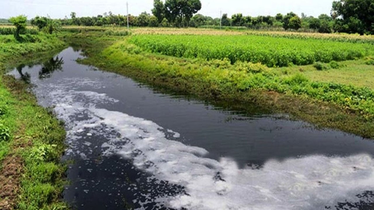 নগরীর বর্জ্যে স্বাস্থ্যঝুঁকিতে বারনই নদীপাড়ের মানুষ