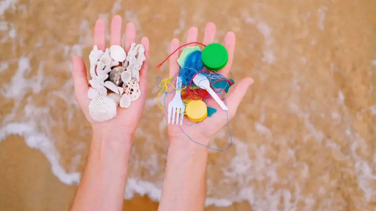 ছবি: সংগৃহীত।