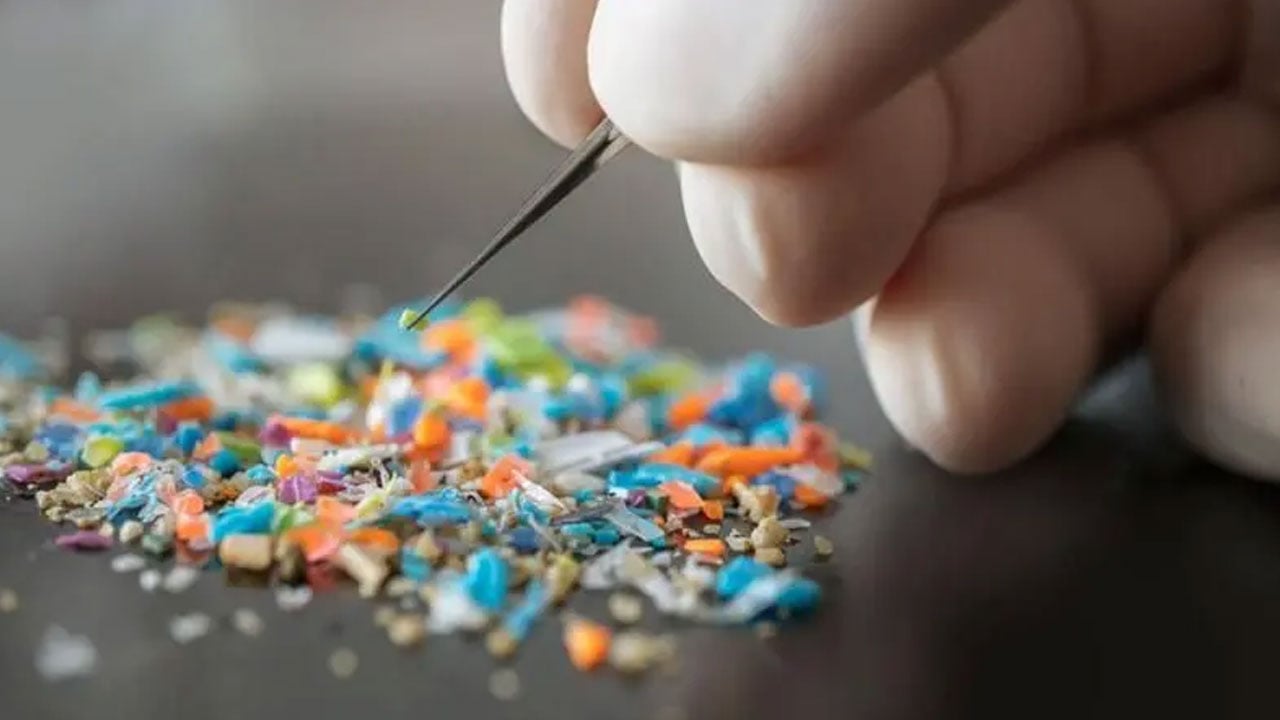 ছবি: সংগৃহীত।