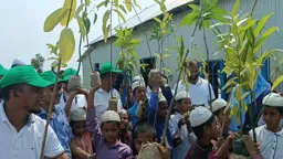 দুর্গম পদ্মার চরে পরিবেশ রক্ষায় ৫০০ তালবীজ রোপণ, চারা বিতরণ