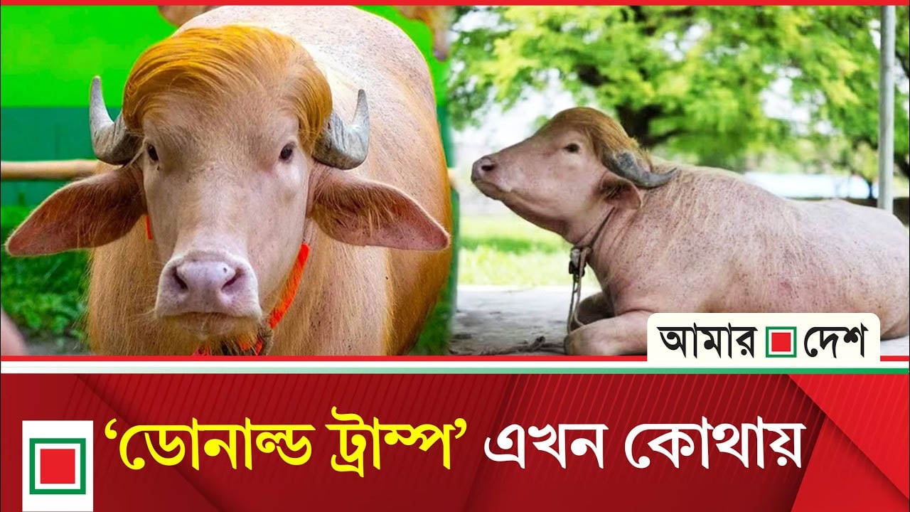 চিড়িয়াখানা থেকে সরানো হলো ‘ডোনাল্ড ট্রাম্প’কে