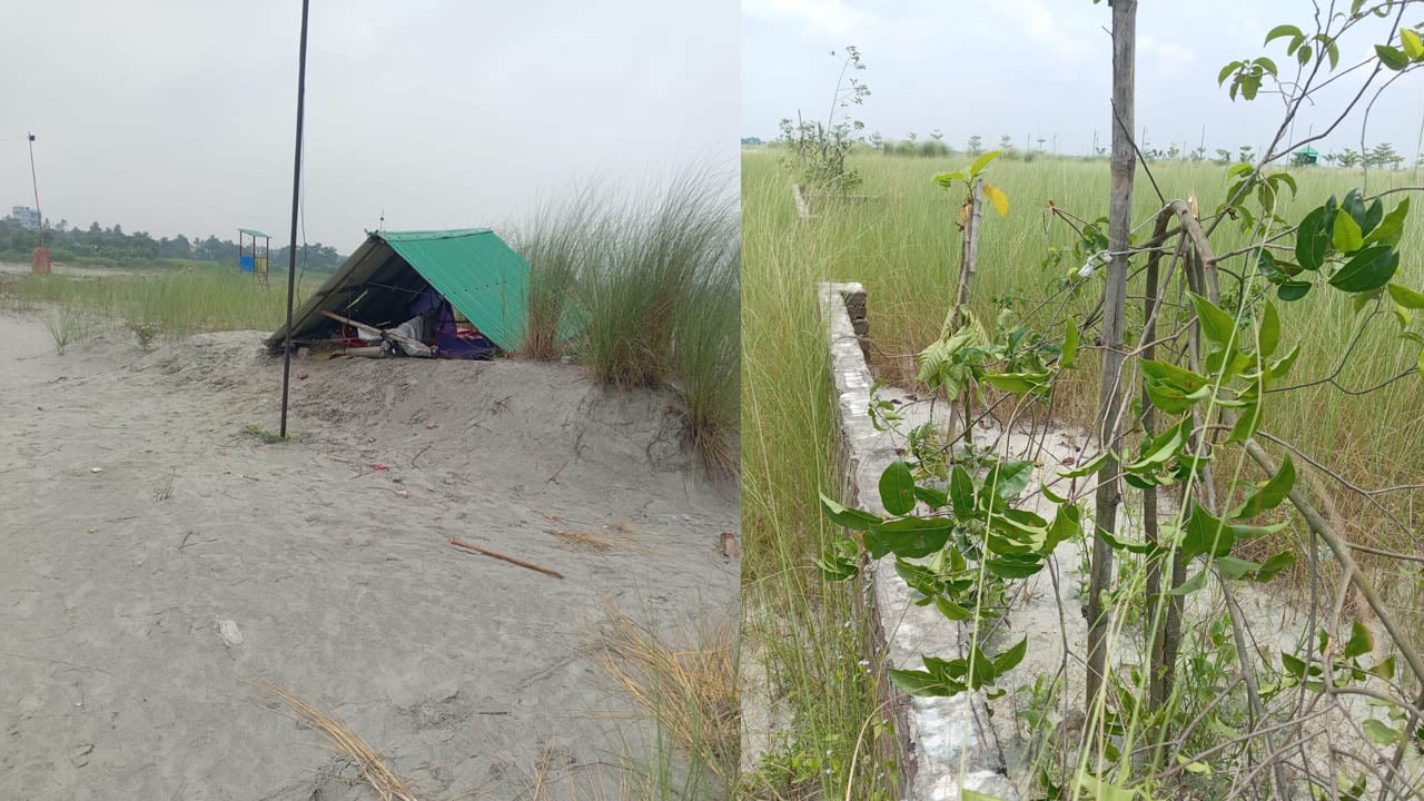 নরসিংদীতে রাতের আঁধারে শতাধিক গাছ কেটে সাবাড়, থানায় জিডি