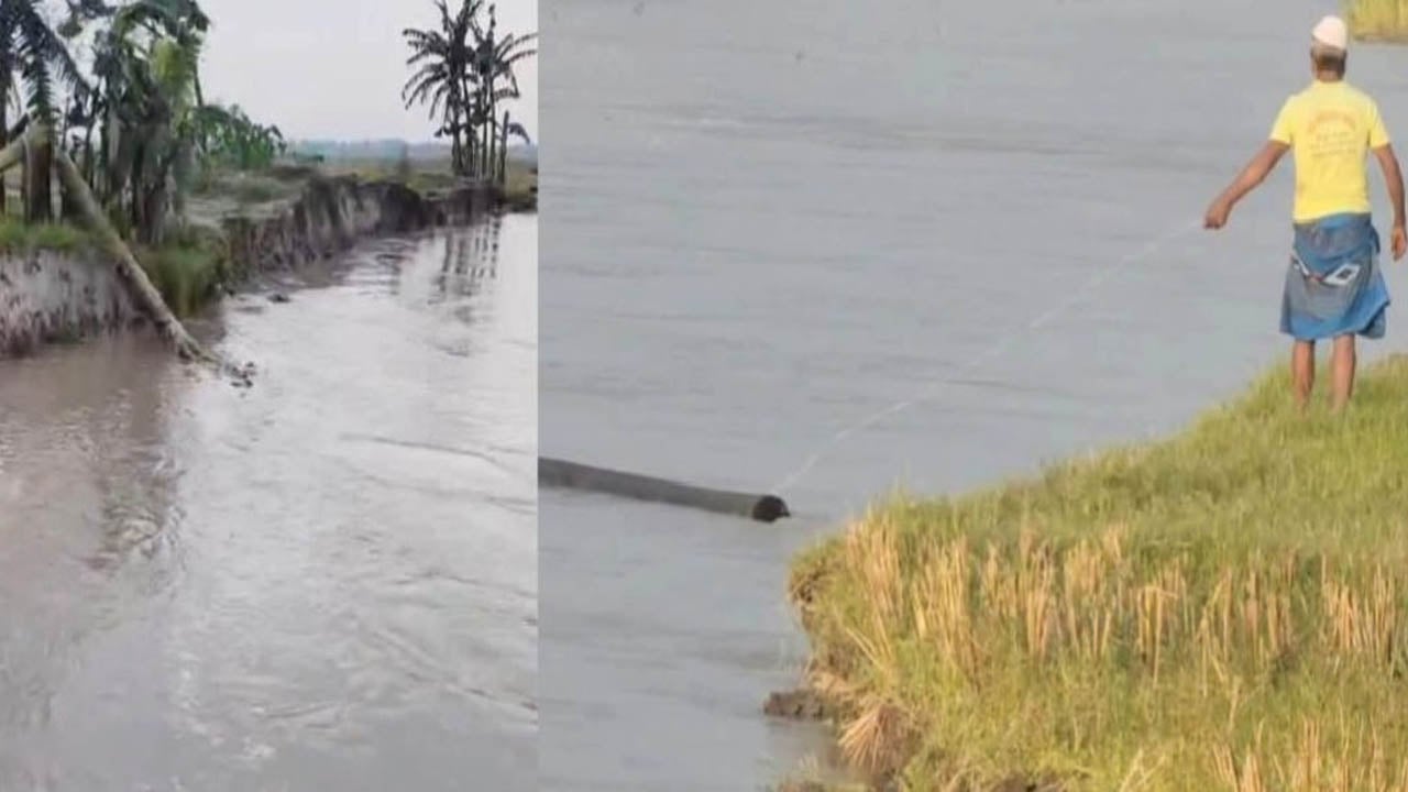 তিস্তার ভাঙনে ঝুঁকিতে স্কুল, মসজিদ ও অর্ধশত পরিবার
