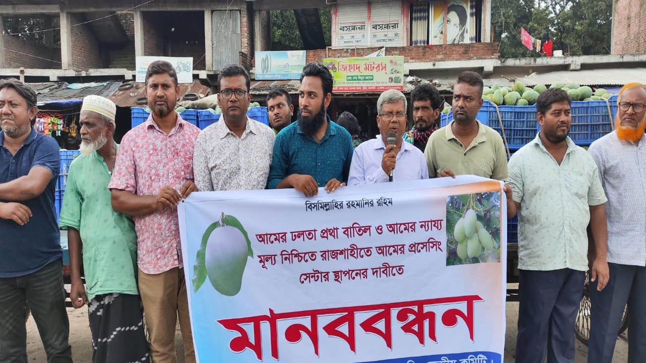 আমের ‘ঢলতা’ প্রথা বাতিল ও প্রসেসিং সেন্টারের দাবিতে মানববন্ধন