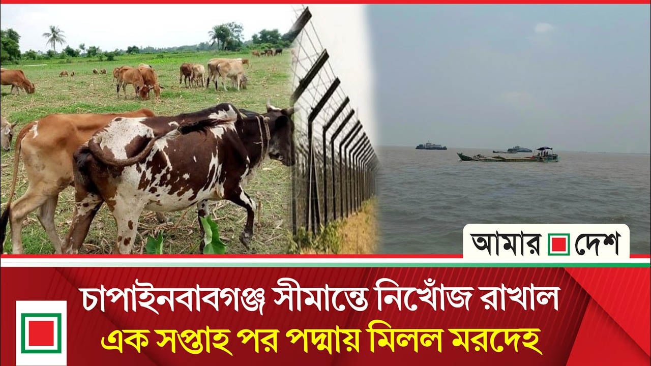 গরু আনতে গিয়ে আর ফেরা হলো না—শিবগঞ্জে ভাসমান লা/ শ উদ্ধার