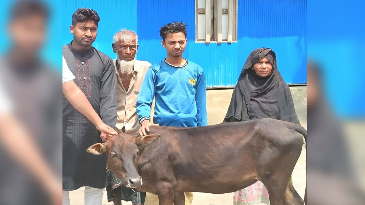 দিনমজুরের গরু চুরি, পাশে দাঁড়ালেন সৌদি প্রবাসী