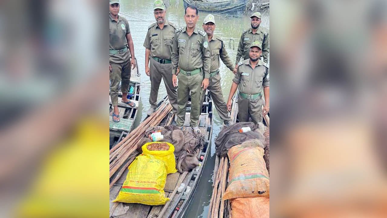 সুন্দরবনে বিষ দিয়ে মাছ শিকার, অবৈধ জেলেদের আস্তানা গুঁড়িয়ে দিল বন বিভাগ