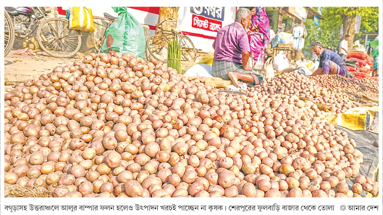 উত্তরাঞ্চলে আলুর বাম্পার ফলনেও ক্ষতির মুখে চাষিরা