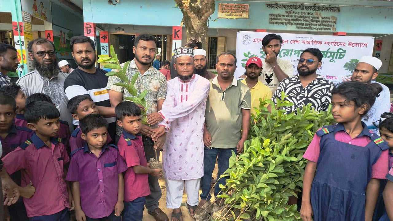 তিন শতাধিক শিক্ষার্থীর মাঝে গাছের চারা বিতরণ করল ‘এসো গড়ি নতুন দেশ’
