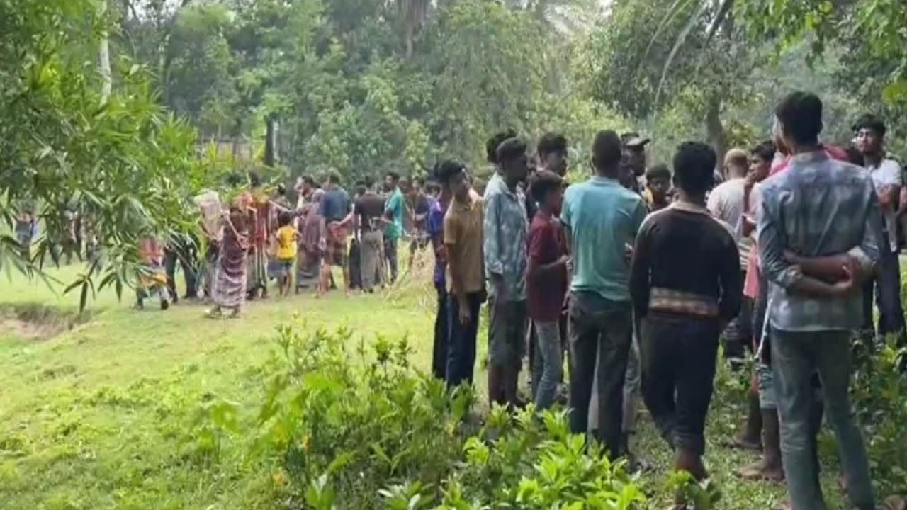মেহেরপুর সীমান্তে বিএসএফের পুশইন চেষ্টা ঠেকাল বিজিবি