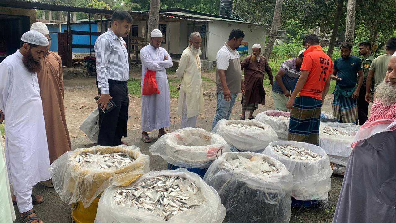কালকিনিতে ২৭ মণ জাটকা জব্দ, এতিমখানায় বিতরণ