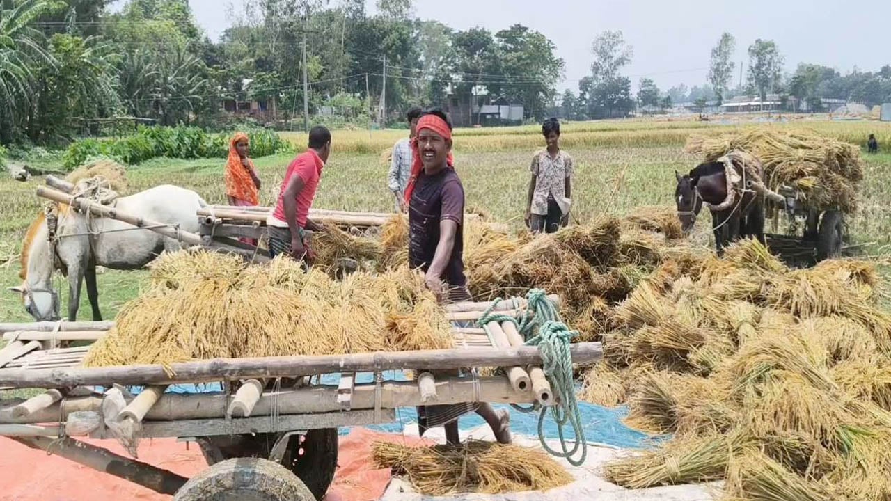 জামালপুরে তীব্র তাপদাহ, হিটস্ট্রোকে ৩ কৃষক-শ্রমজীবীর মৃত্যু